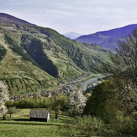Dream Hostel Carpathians 라키브 외부 사진