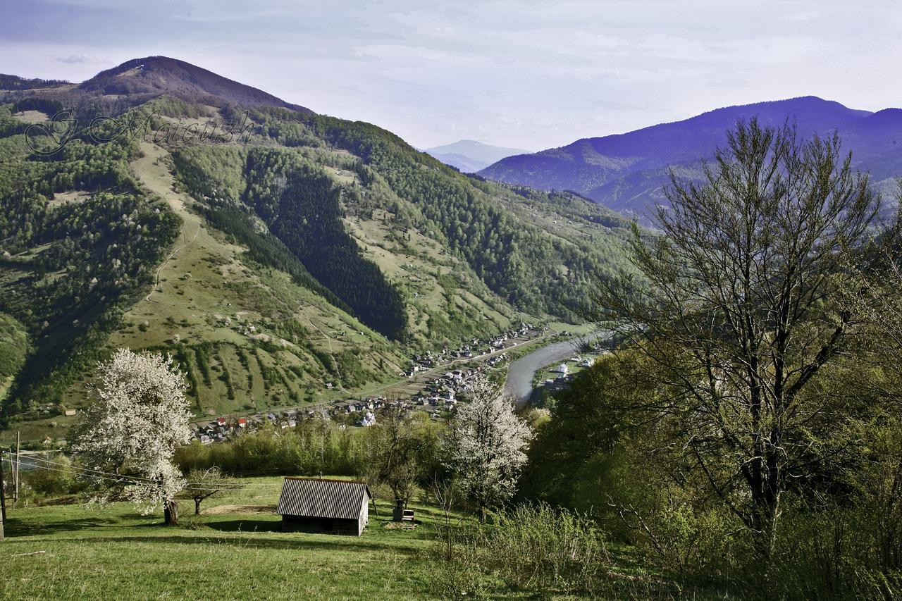Dream Hostel Carpathians 라키브 외부 사진